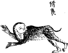 九游体育中国 -猾胧鏭V趟tx??? 