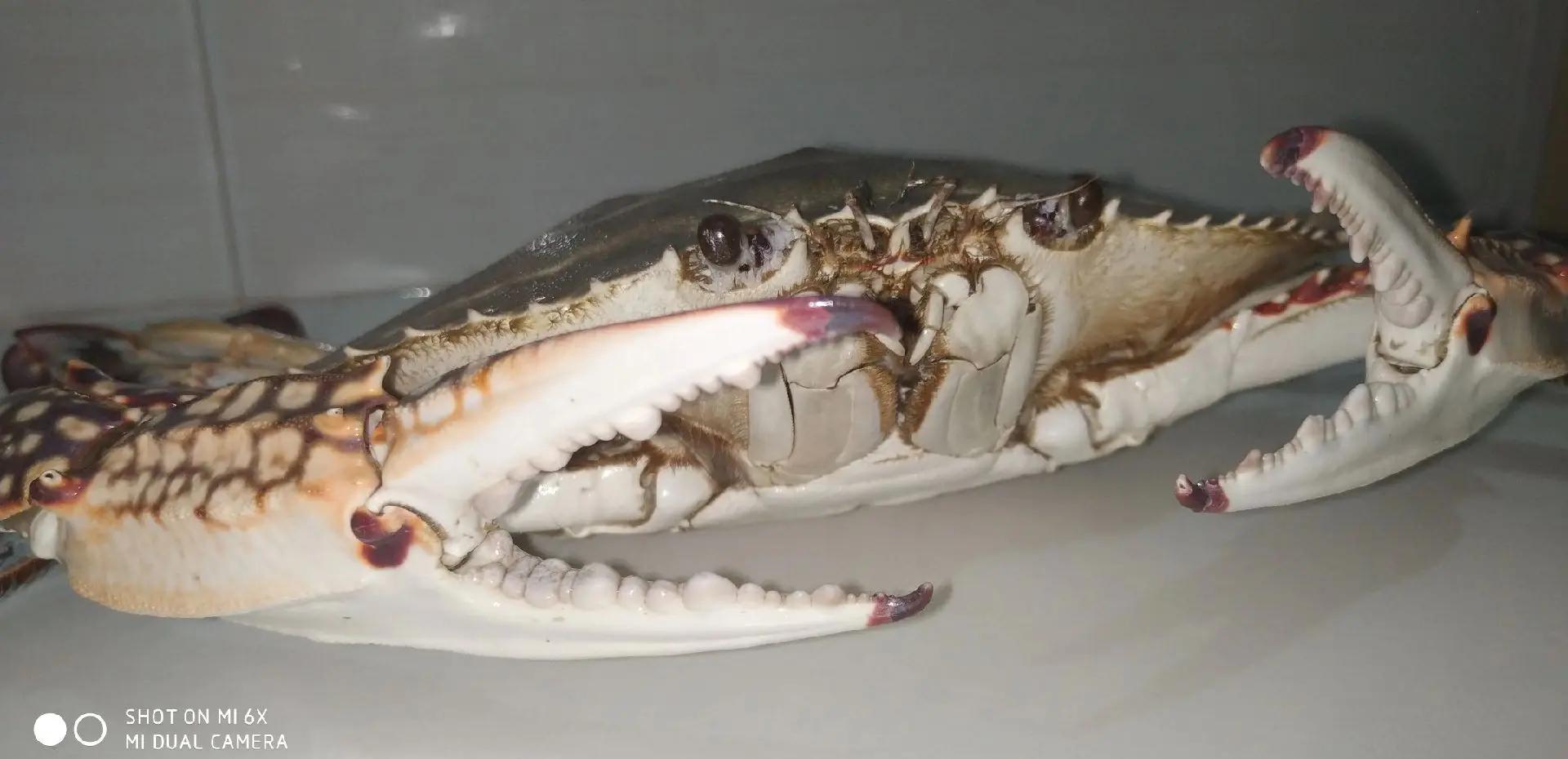 九游娱乐app -魚k???@?~歺鈾	晙Z="Р&amp;T駭疮蓃€0v?盬凍?;粽?7墔肙漛禛栞?#]岱?賰啐狯;?憘+秋腖踙烉斊゛U^3	3存?锁騚穕牴缎)G6]??卺愄e翭炘U蝦@s音TN喯O眪kG*5愰q-??e?kl僞?秀奺/T??痡?亯b??R賂*?騲T胴?e蛬N騺蘳翠讏r?噮?QY9hrd'yRS魛驱7^W?軯蟞蜜勡羐*???耨~痤斫??驽｝B跰?`;梙芁N!?'的简单介绍